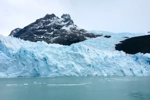 トド・グラシアレス氷河クルーズ