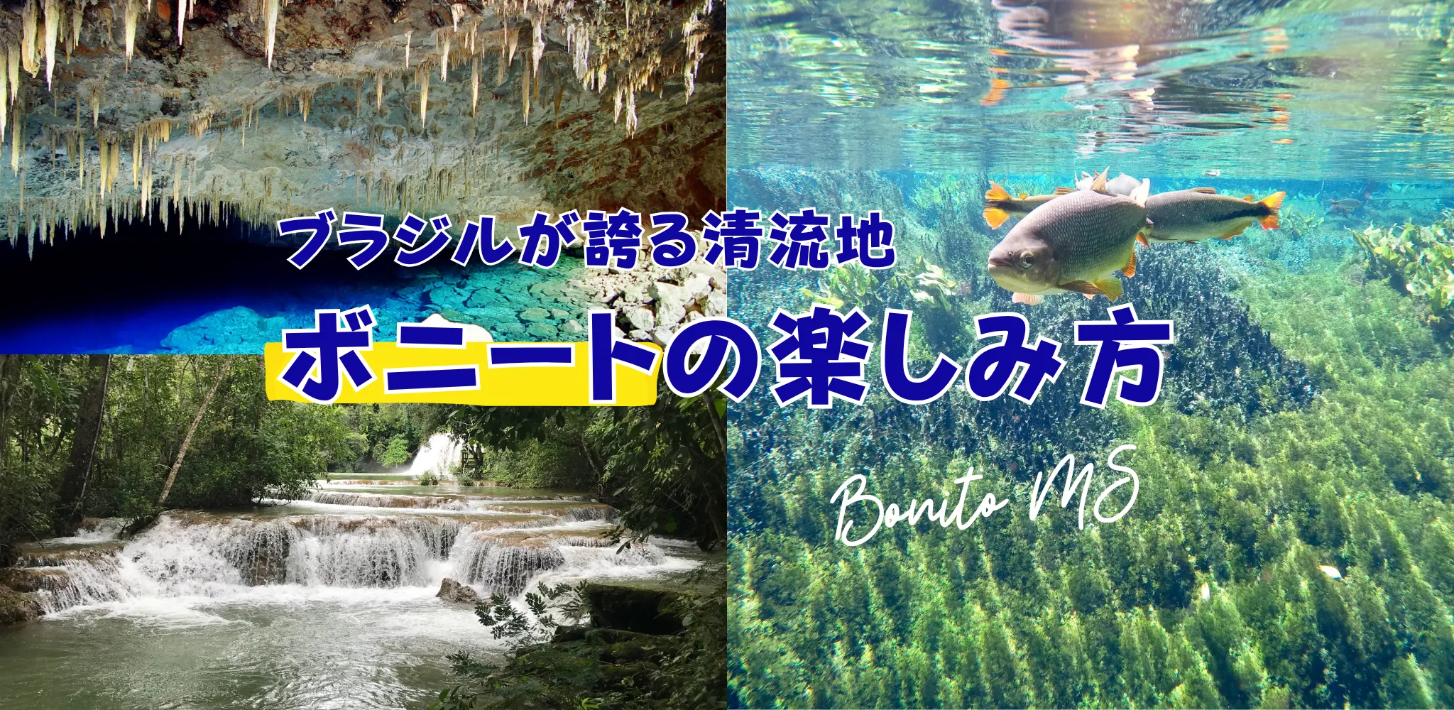 ボニートの楽しみ方