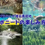 ボニートの楽しみ方