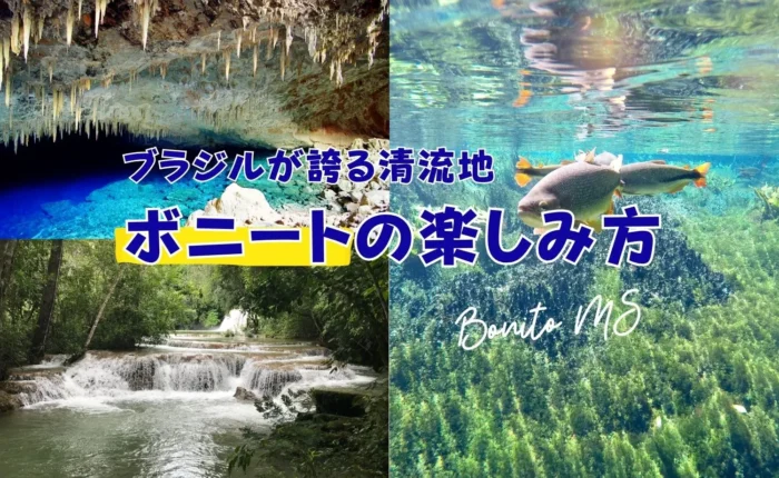 ボニートの楽しみ方