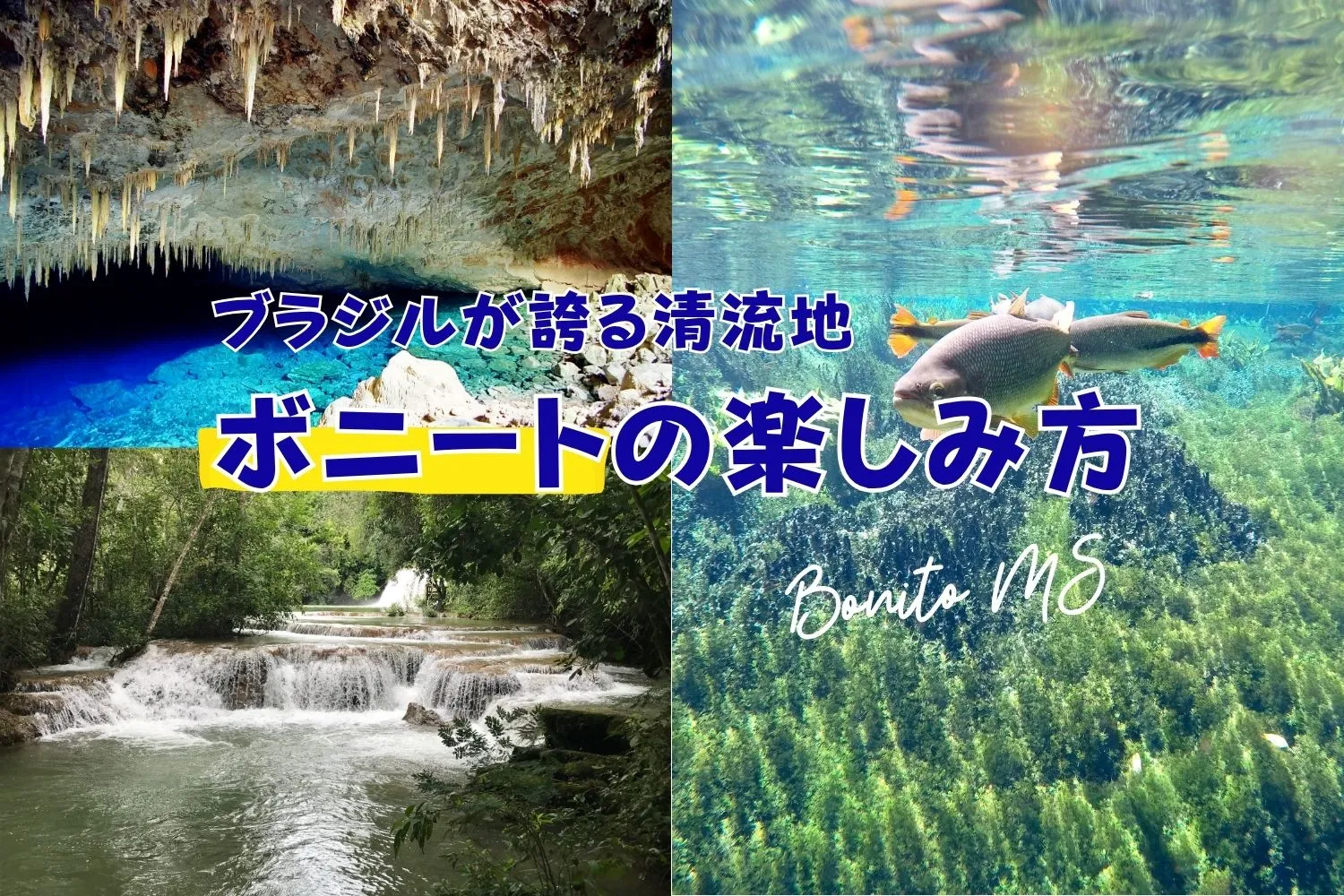 ボニートの楽しみ方