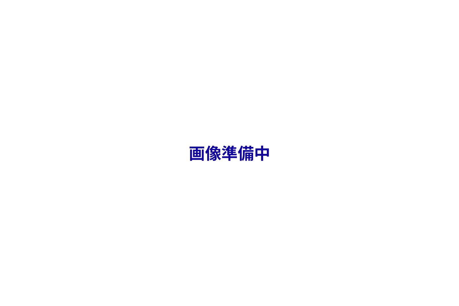 画像準備中
