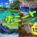 ボニート グループツアー