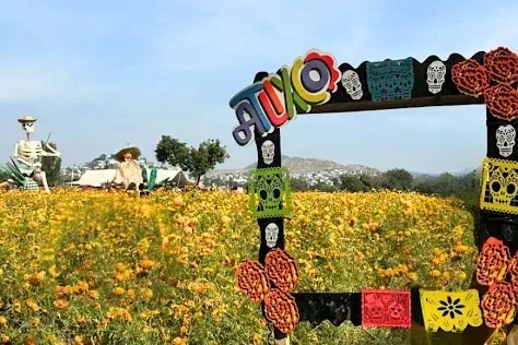 メキシコ死者の日ツアー アトリスコ