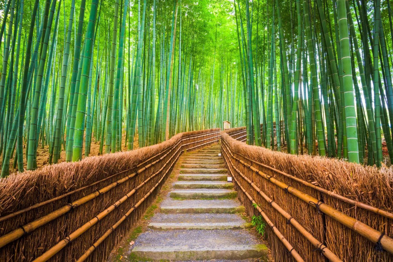 Arashiyama Japão