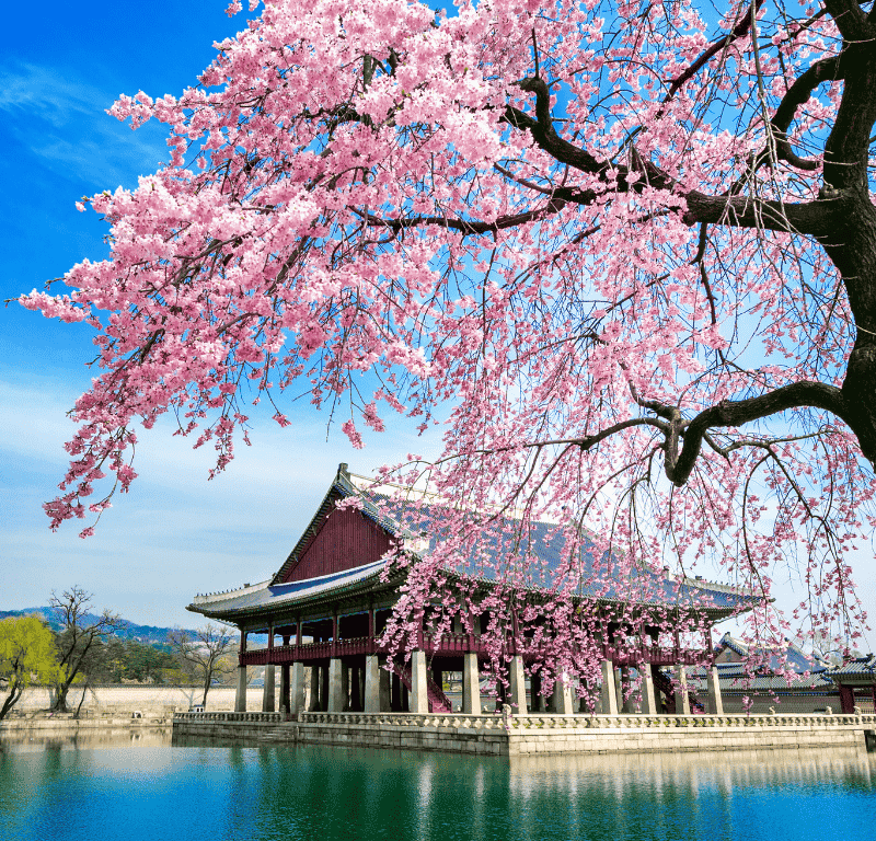 Roteiro Japão + Coreia do Sul.