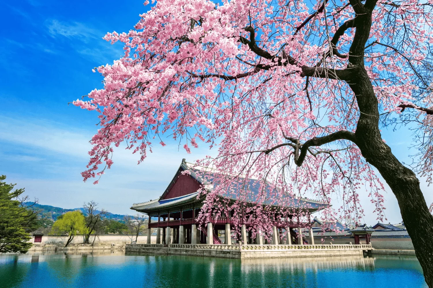 Roteiro Japão + Coreia do Sul. Palácio Real de Gyeongbokgung